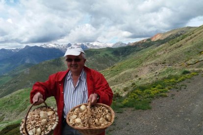 Rovellons, ceps, fredolics,...envia'ns fotos de la teva sortida al bosc.