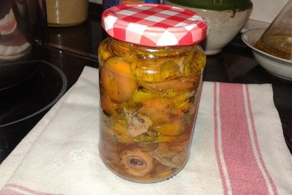 Rovellons, ceps, fredolics,...envia'ns fotos de la teva sortida al bosc.