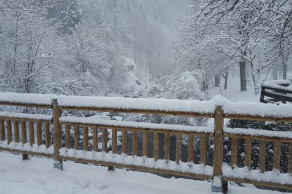 El fred, la boira i la neu... l'hivern ja és aquí!