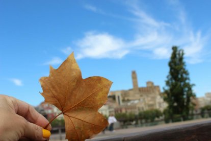 Les fulles cauen, arriba la boira i comença a fer fred.