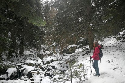 El fred, la boira i la neu...l'hivern ja és aquí!