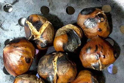 Les fulles cauen, arriba la boira i comença a fer fred.