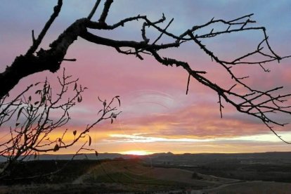 Les fulles cauen, arriba la boira i comença a fer fred.