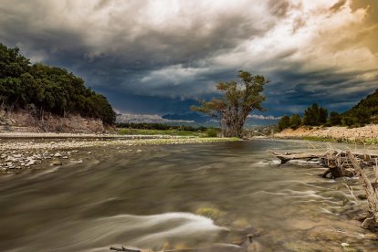 Les fulles cauen, arriba la boira i comença a fer fred.