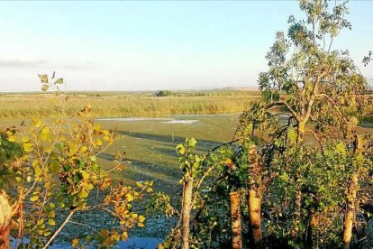 Les fulles cauen, arriba la boira i comença a fer fred.