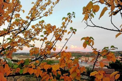 Les fulles cauen, arriba la boira i comença a fer fred.