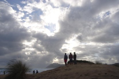 Manel Fregola Navarro