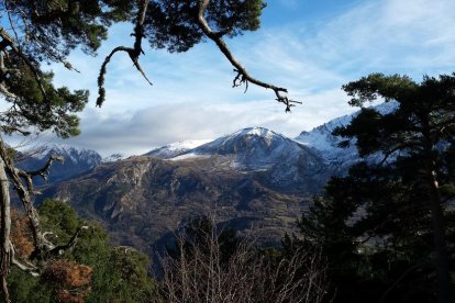 El fred, la boira i la neu...l'hivern ja és aquí!