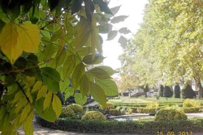 Les fulles cauen, arriba la boira i comença a fer fred.