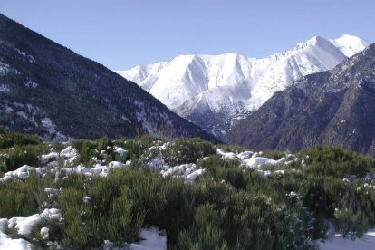 El fred, la boira i la neu... l'hivern ja és aquí!