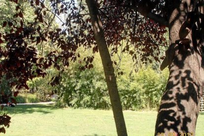 Les fulles cauen, arriba la boira i comença a fer fred.