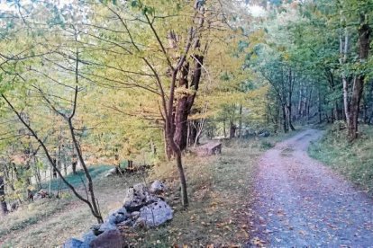 Les fulles cauen, arriba la boira i comença a fer fred.
