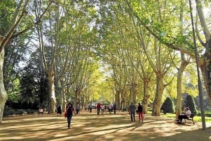 Les fulles cauen, arriba la boira i comença a fer fred.