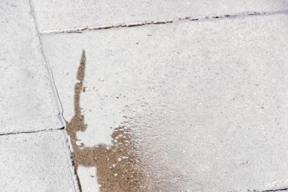 Les fulles cauen, arriba la boira i comença a fer fred.