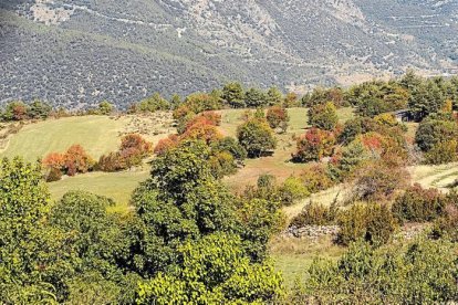 Les fulles cauen, arriba la boira i comença a fer fred.