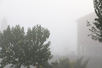 Les fulles cauen, arriba la boira i comença a fer fred.