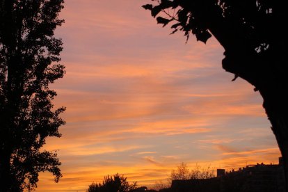 Les fulles cauen, arriba la boira i comença a fer fred.