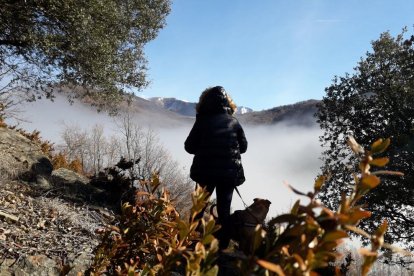 El fred, la boira i la neu... l'hivern ja és aquí!