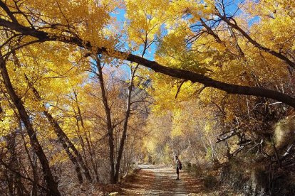 Beatriu Cabasés Charles
