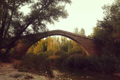 Les fulles cauen, arriba la boira i comença a fer fred.