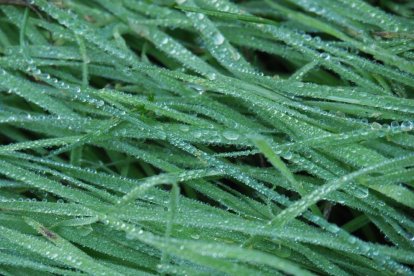 Les fulles cauen, arriba la boira i comença a fer fred.