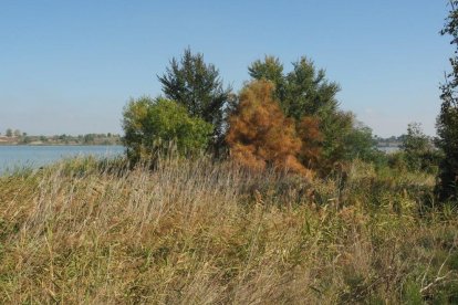 Les fulles cauen, arriba la boira i comença a fer fred.