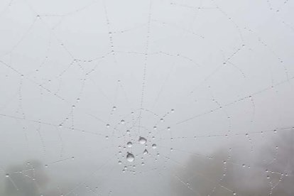 El fred, la boira i la neu... l'hivern ja és aquí!