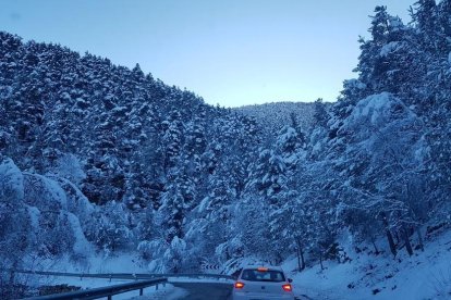 El fred, la boira i la neu... l'hivern ja és aquí!