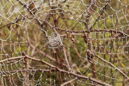 Les fulles cauen, arriba la boira i comença a fer fred.