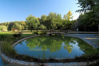 Les fulles cauen, arriba la boira i comença a fer fred.