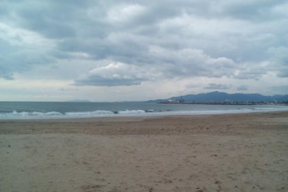 Roser Riart gil