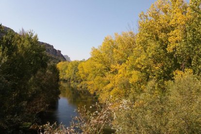 Les fulles cauen, arriba la boira i comença a fer fred.