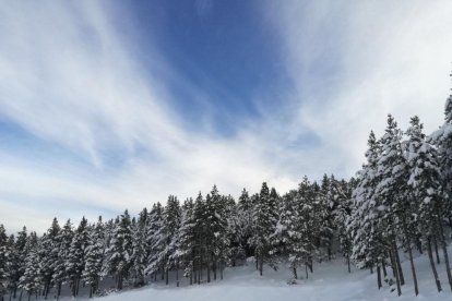 El fred, la boira i la neu... l'hivern ja és aquí!