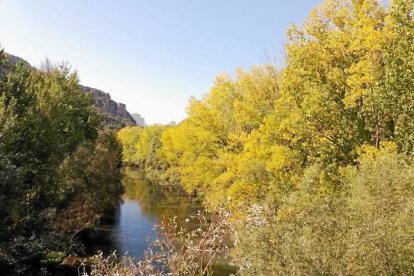 Les fulles cauen, arriba la boira i comença a fer fred.