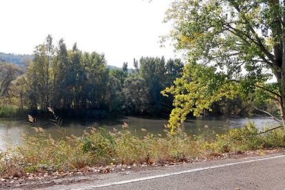 Les fulles cauen, arriba la boira i comença a fer fred.