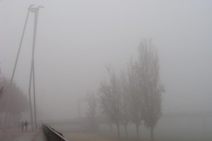 Les fulles cauen, arriba la boira i comença a fer fred.