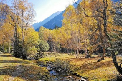 Les fulles cauen, arriba la boira i comença a fer fred.