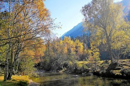 Les fulles cauen, arriba la boira i comença a fer fred.