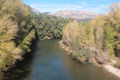 Les fulles cauen, arriba la boira i comença a fer fred.