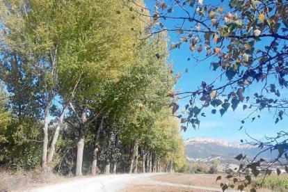 Les fulles cauen, arriba la boira i comença a fer fred.