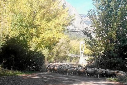 Les fulles cauen, arriba la boira i comença a fer fred.