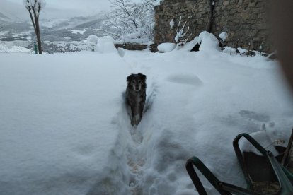 El fred, la boira i la neu... l'hivern ja és aquí!