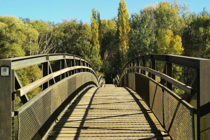 Paula Mallada Farreny