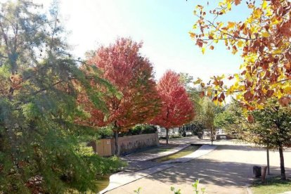 Les fulles cauen, arriba la boira i comença a fer fred.