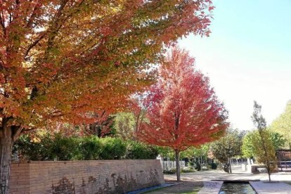 Les fulles cauen, arriba la boira i comença a fer fred.