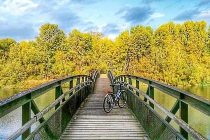 Les fulles cauen, arriba la boira i comença a fer fred.