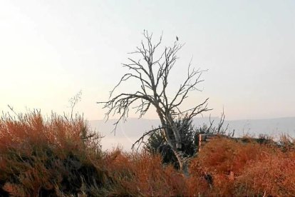 Les fulles cauen, arriba la boira i comença a fer fred.