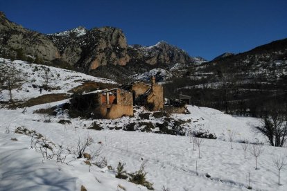 El fred, la boira i la neu... l'hivern ja és aquí!