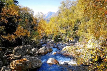 Les fulles cauen, arriba la boira i comença a fer fred.