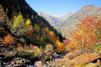 Les fulles cauen, arriba la boira i comença a fer fred.